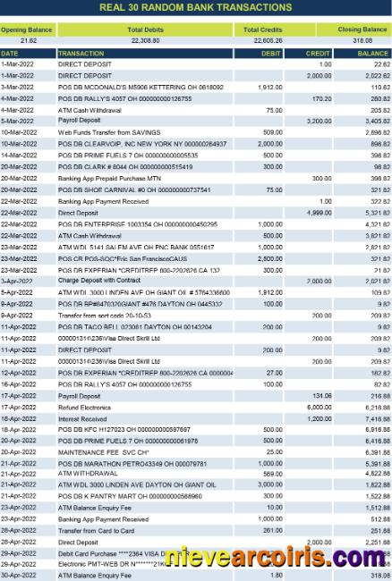 real 30 random bank transactions Excel and PDF
